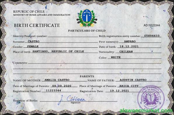 Chile vital record birth certificate PSD template
